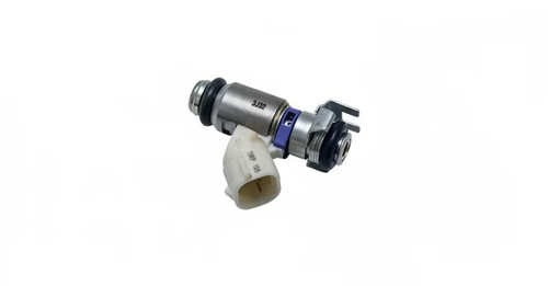 Einspritzventil 805009523201